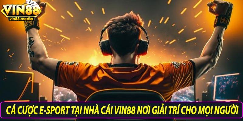 Cá cược e-sport tại nhà cái vin88 nơi giải trí cho mọi người